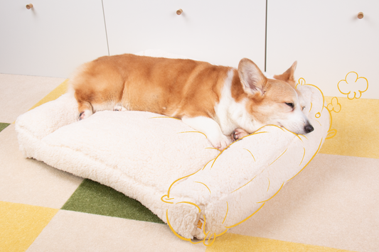 Shorty Open Bolster Dog Bed - Cloud