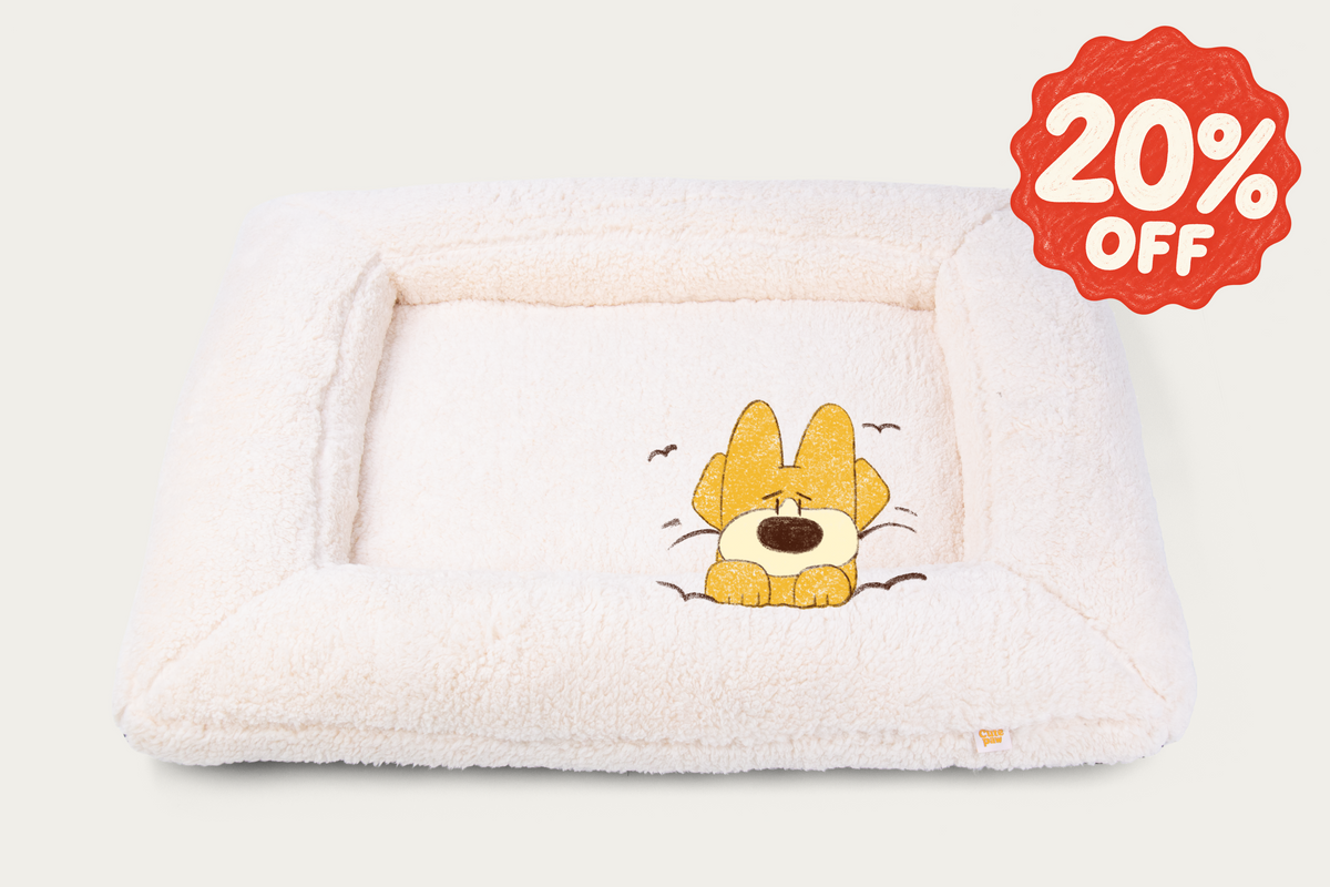 Shorty Ortho Square Dog Bed - Cloud