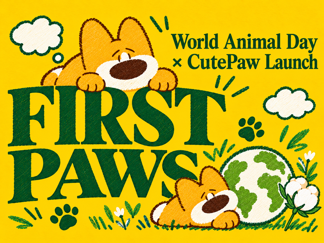 World Animal Day: Caring Through the Little Things
