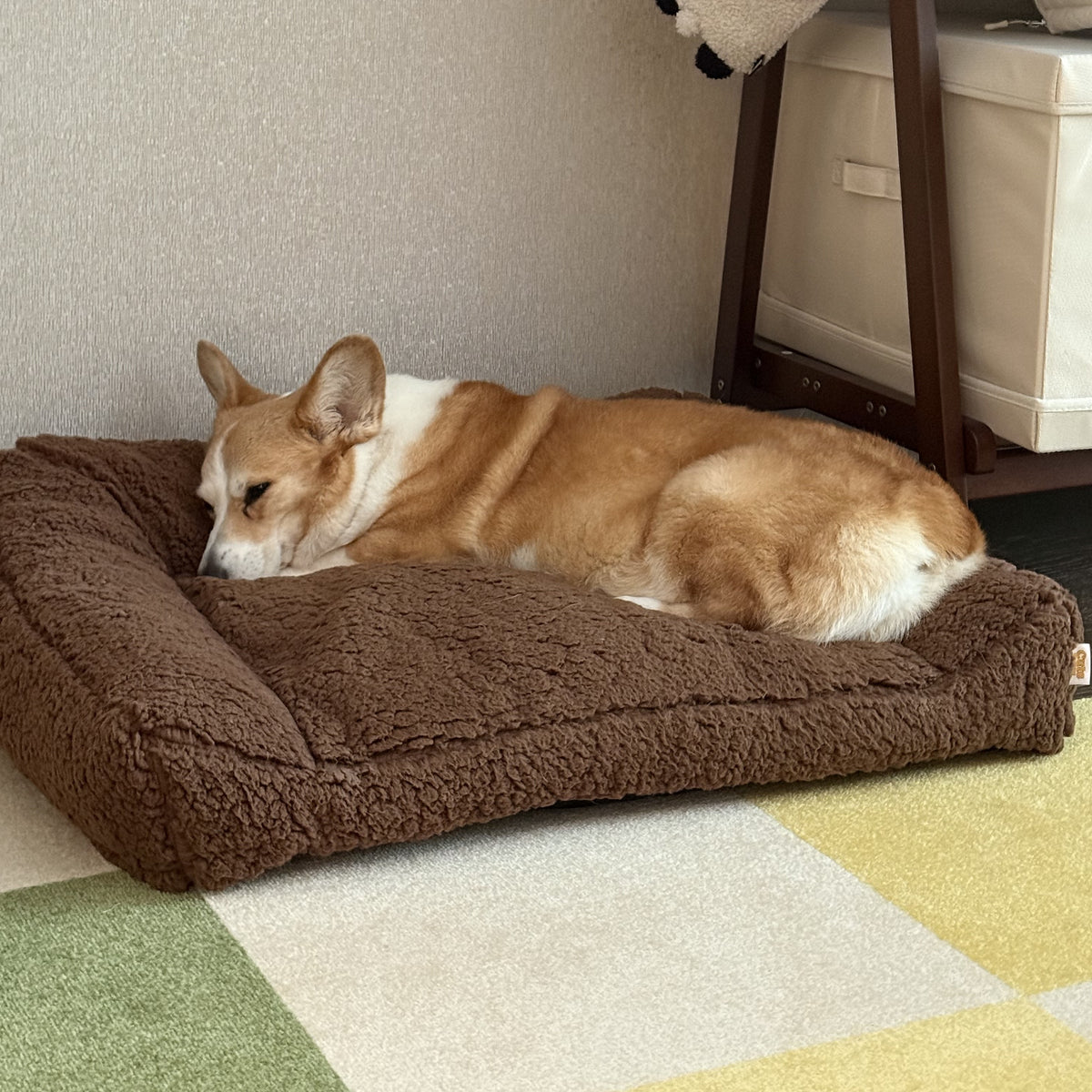 Shorty Open Bolster Dog Bed - Moose