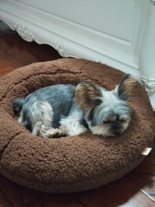 Shorty Cuddler Dog Bed - Cloud