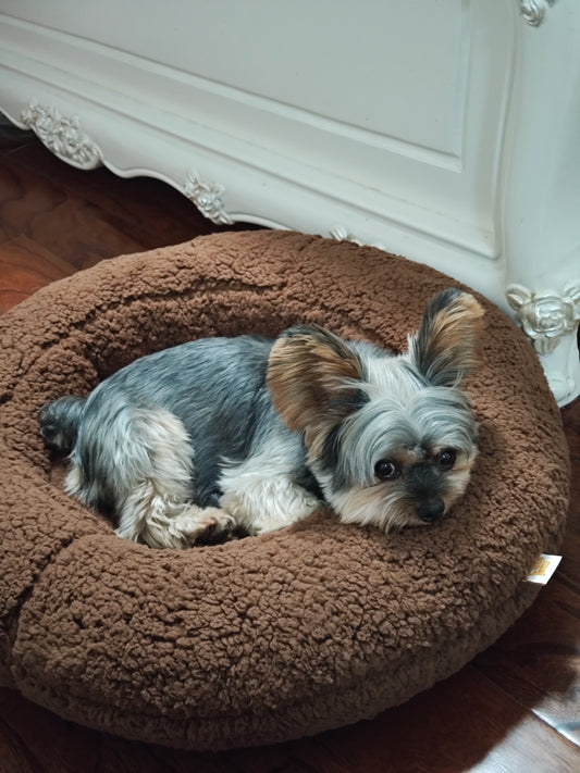 Shorty Cuddler Dog Bed - Moose