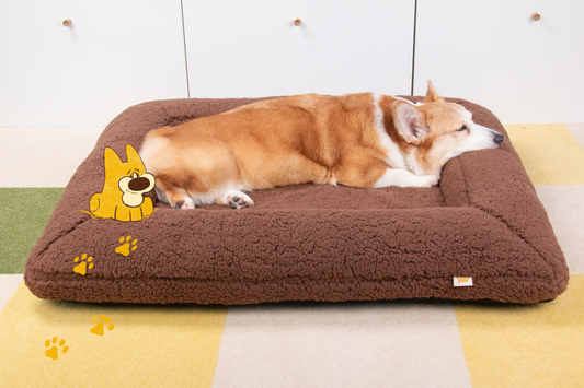 Shorty Ortho Square Dog Bed - Moose